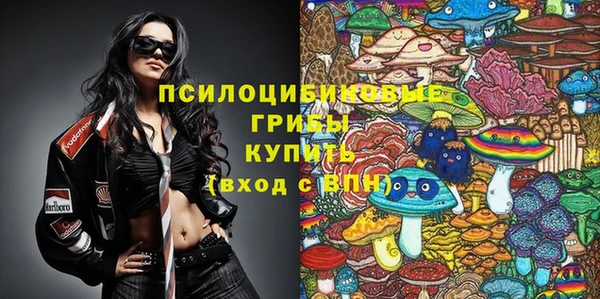 эйфоретик Беломорск