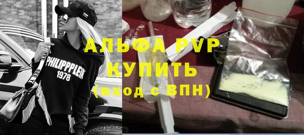 индика Струнино