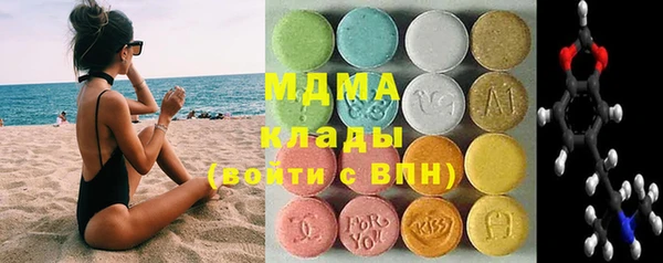 индика Струнино