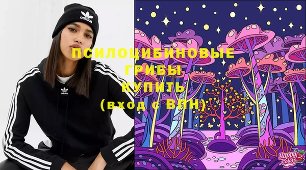 эйфоретик Беломорск