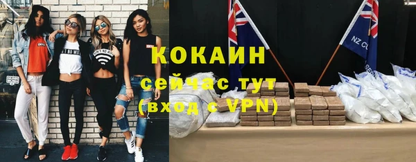 соль курить ск Белокуриха
