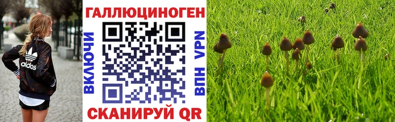 KRAKEN вход  Вятские Поляны  Псилоцибиновые грибы прущие грибы 