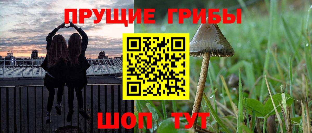 Псилоцибиновые грибы ЛСД Вятские Поляны
